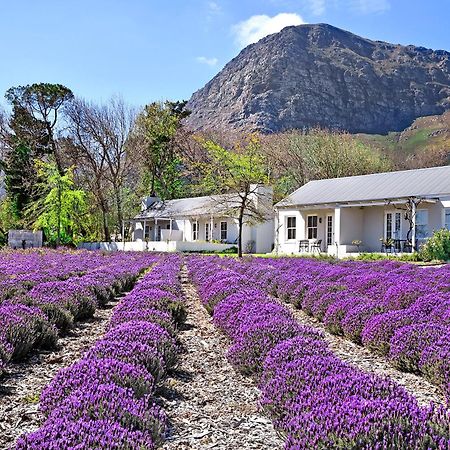 Lavender Farm Boutique Guest House Franschhoek Bagian luar foto