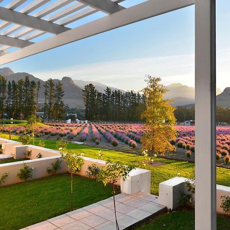 Lavender Farm Boutique Guest House Franschhoek Bagian luar foto
