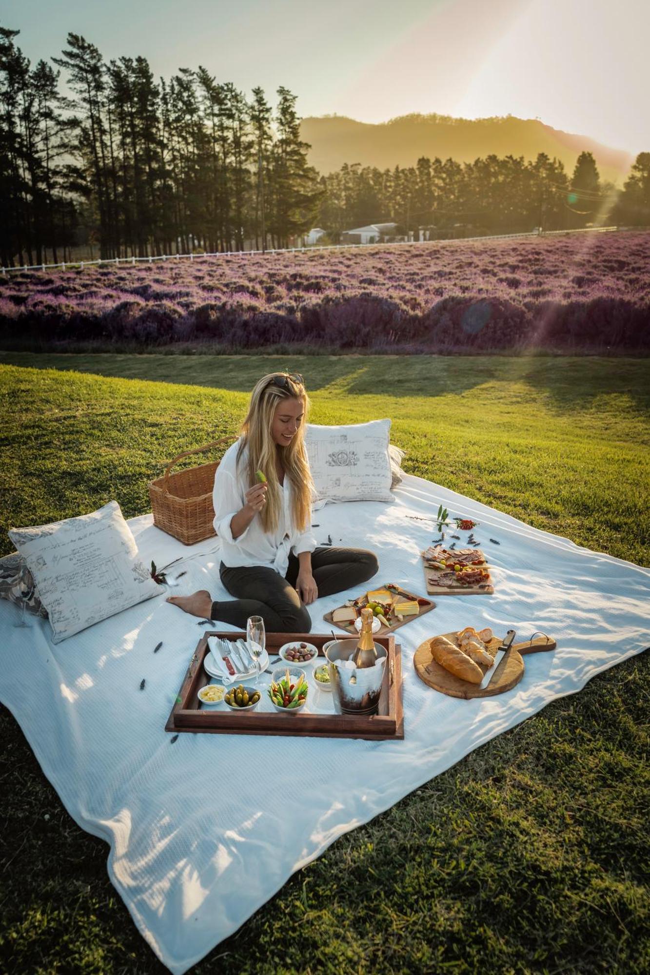 Lavender Farm Boutique Guest House Franschhoek Bagian luar foto