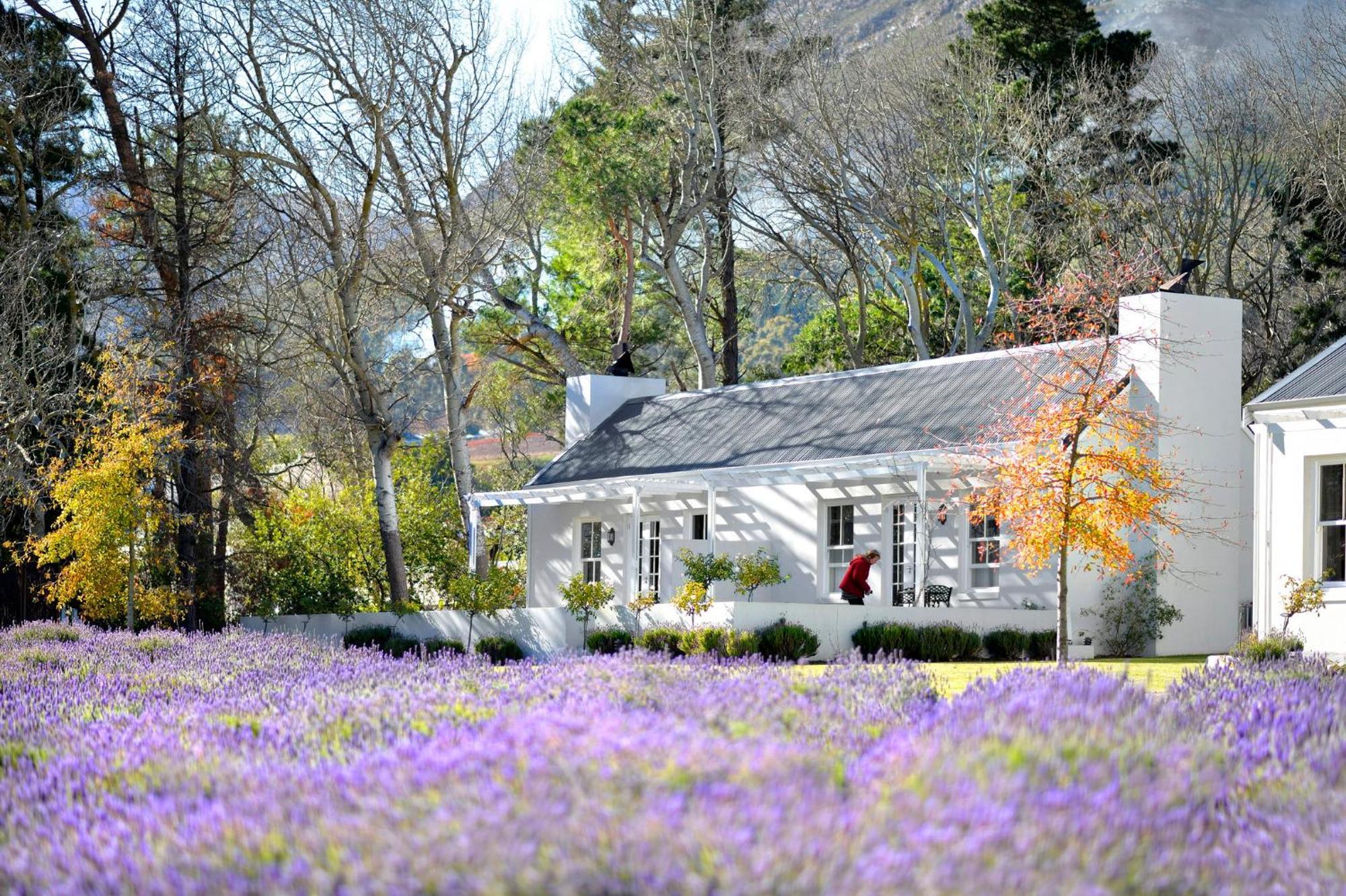 Lavender Farm Boutique Guest House Franschhoek Bagian luar foto