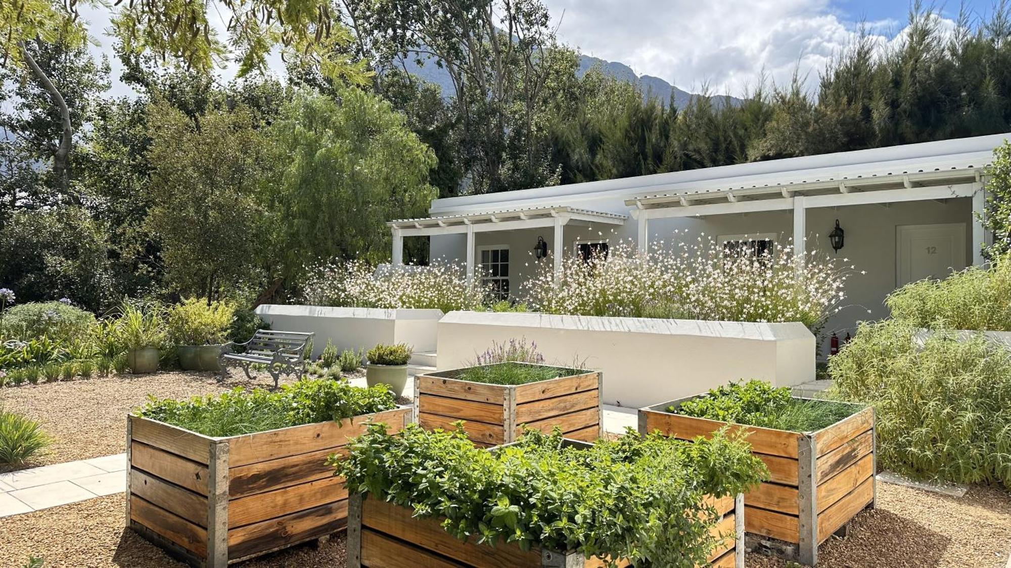 Lavender Farm Boutique Guest House Franschhoek Bagian luar foto